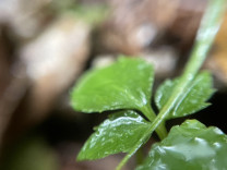 大学の実習で撮影した写真