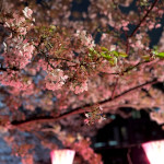 プロフィール写真