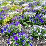 プロフィール写真