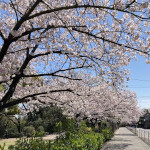 プロフィール写真