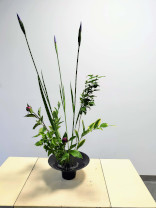 大学内でのいけばな