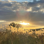 プロフィール写真