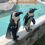 プロフィール写真