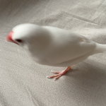 プロフィール写真