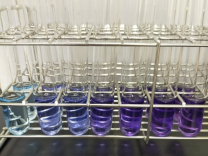 食品学実験の様子