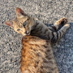 プロフィール写真