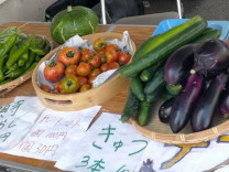 農業系サークルでの野菜販売の様子