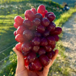 プロフィール写真