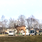 プロフィール写真