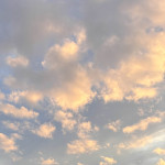 プロフィール写真