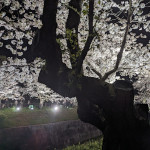 プロフィール写真