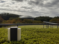 自然豊かな大学