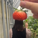 プロフィール写真