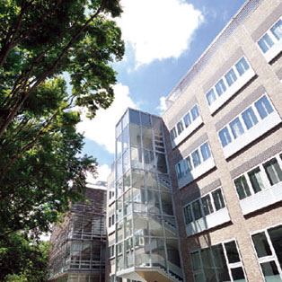 千葉大学　飛び入学制度