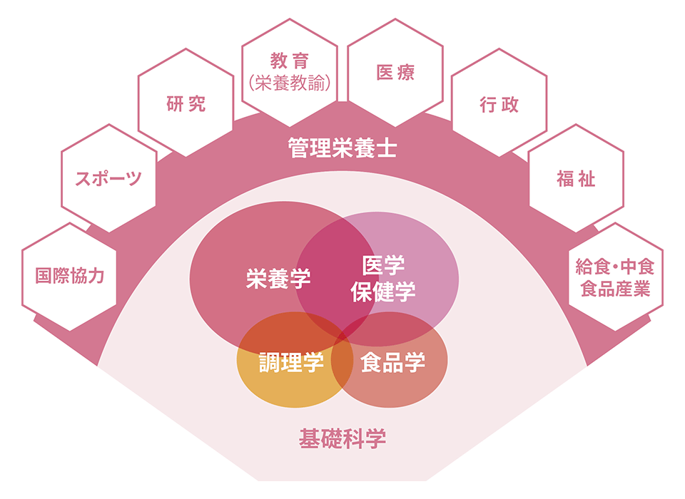 栄養学科 学びの特徴