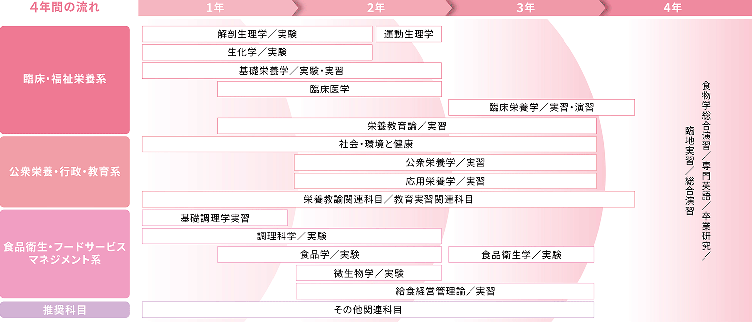 栄養学科カリキュラム