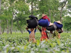 AI時代にも役立つ経済・経営の学びと