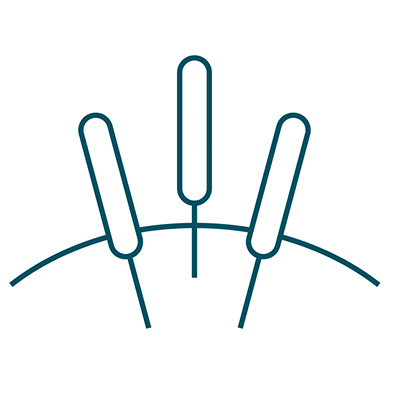 はり師・きゅう師