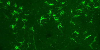 皮膚生理学研究室