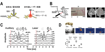 脳神経行動工学研究室