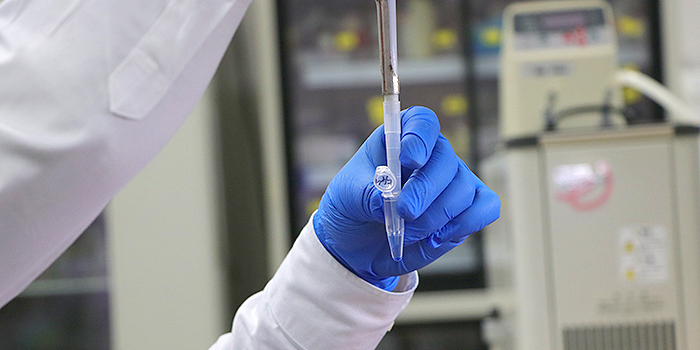 システム生命科学研究室