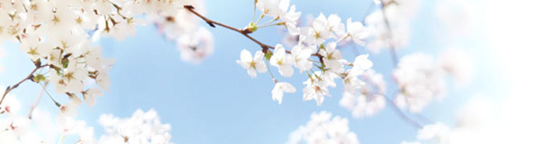 これまでの入試