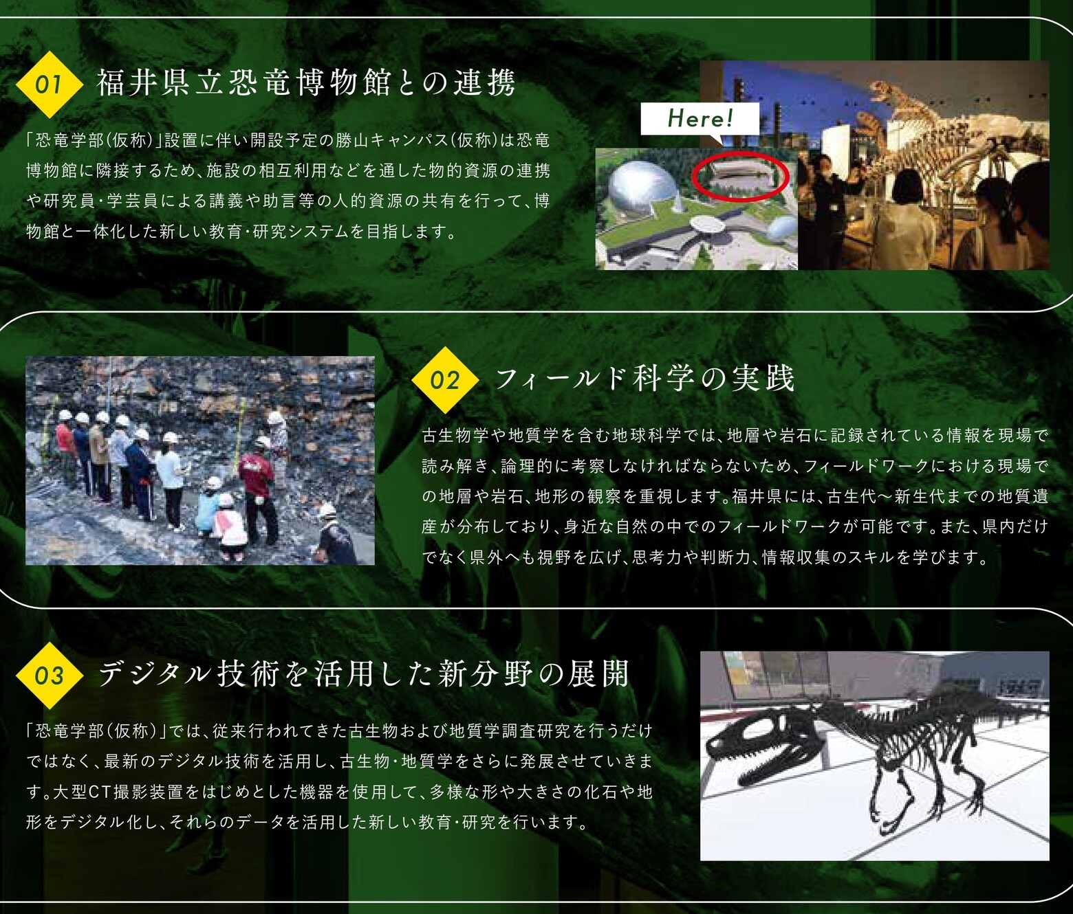 図　カリキュラムの特色